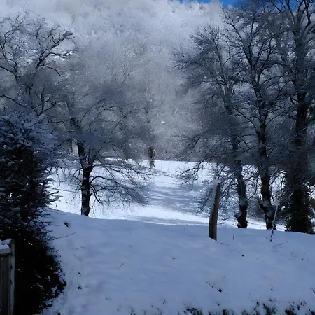 Shabby Blue * Saint-Cernin (Cantal)